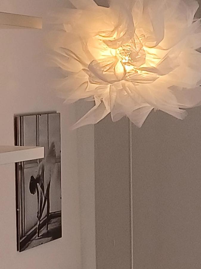 Bella Vista Apartment Šibenik Extérieur photo